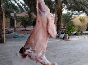 معلم مشويات شامية العاصمة مدينة الرياض